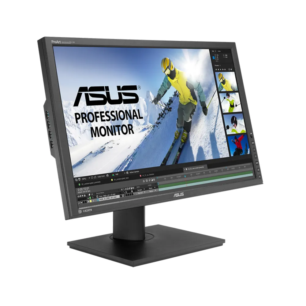 ASUS 24" Wide PA248Q