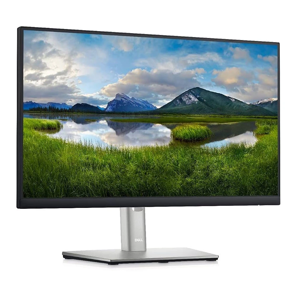 DELL Monitor P2222H