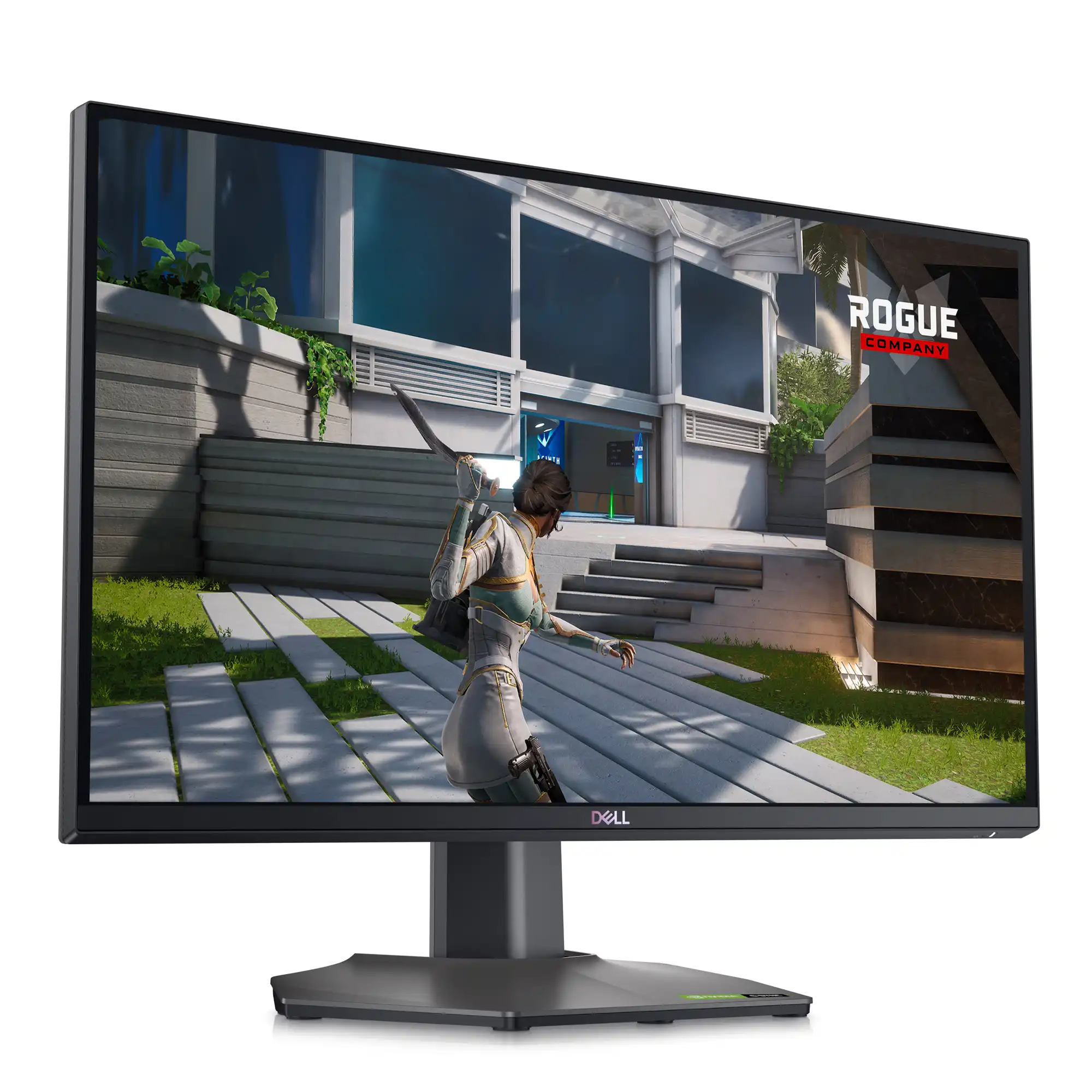 DELL Monitor G2524H